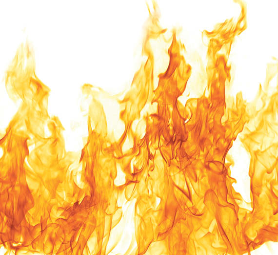 illustration of donkey and elephant talking